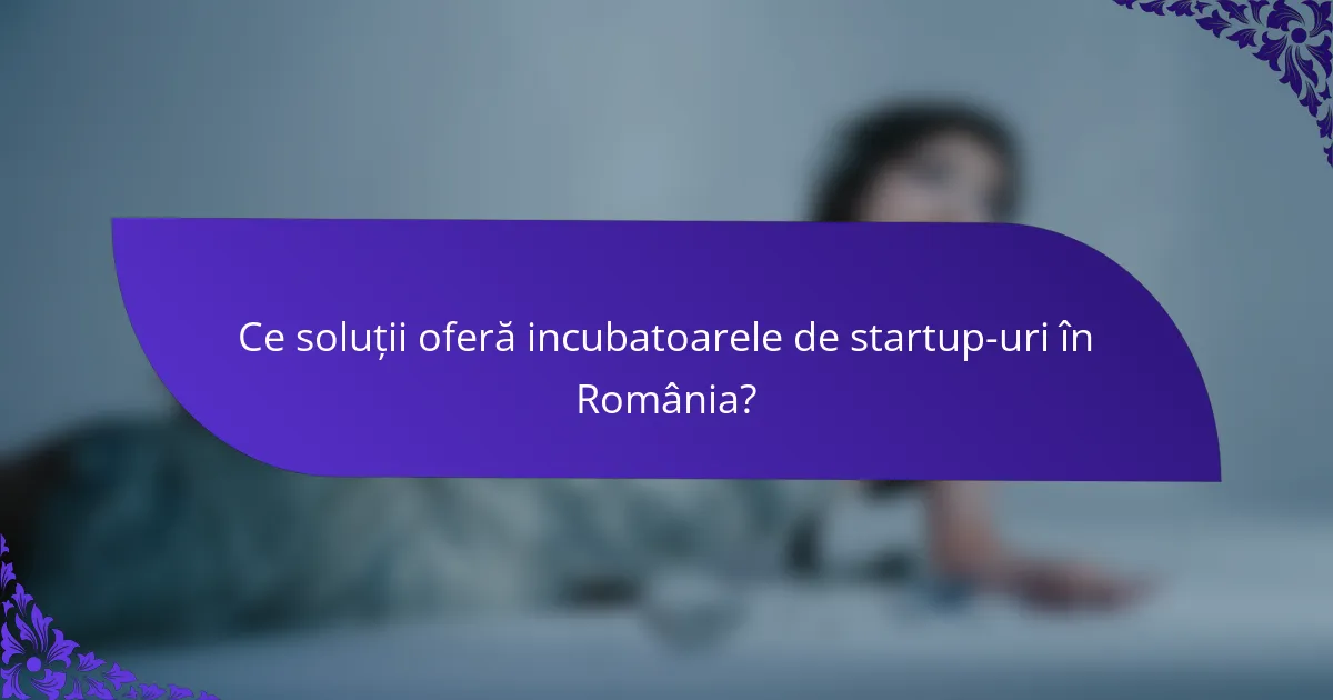 Ce soluții oferă incubatoarele de startup-uri în România?