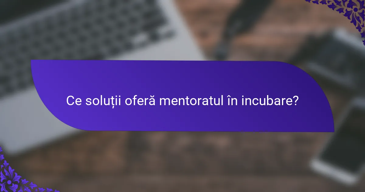 Ce soluții oferă mentoratul în incubare?