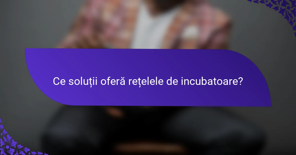 Ce soluții oferă rețelele de incubatoare?