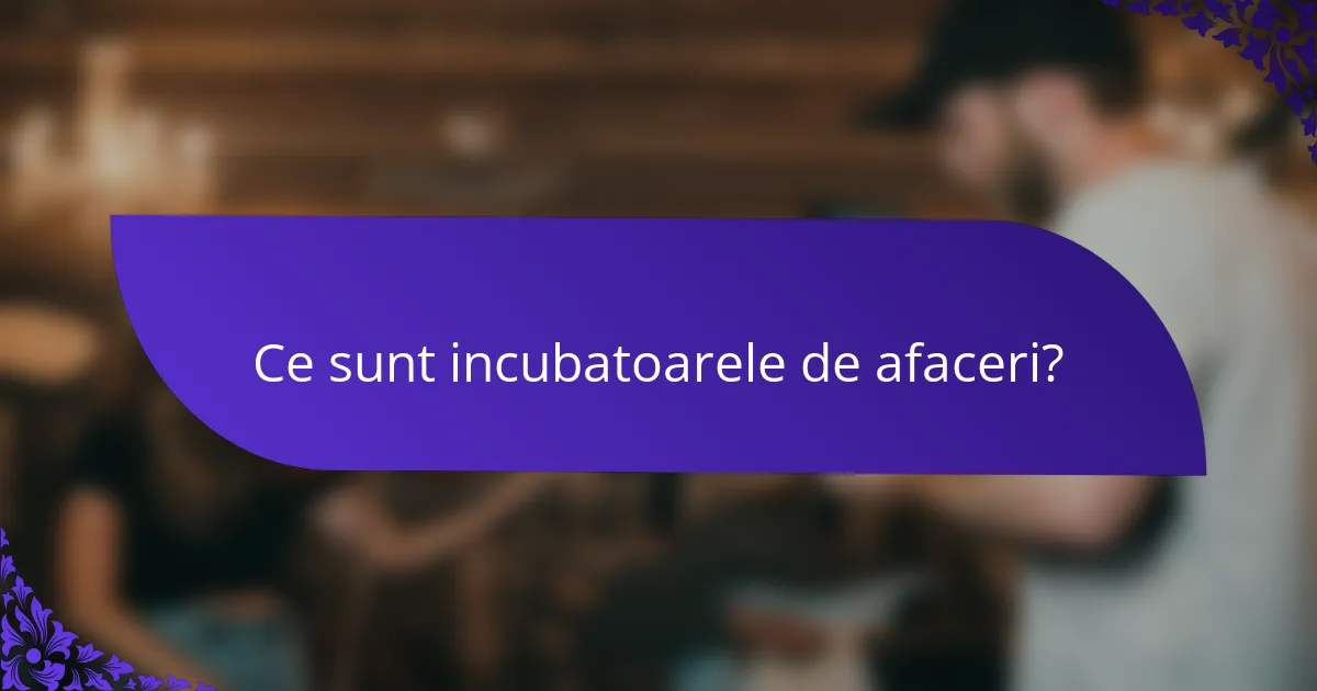 Ce sunt incubatoarele de afaceri?