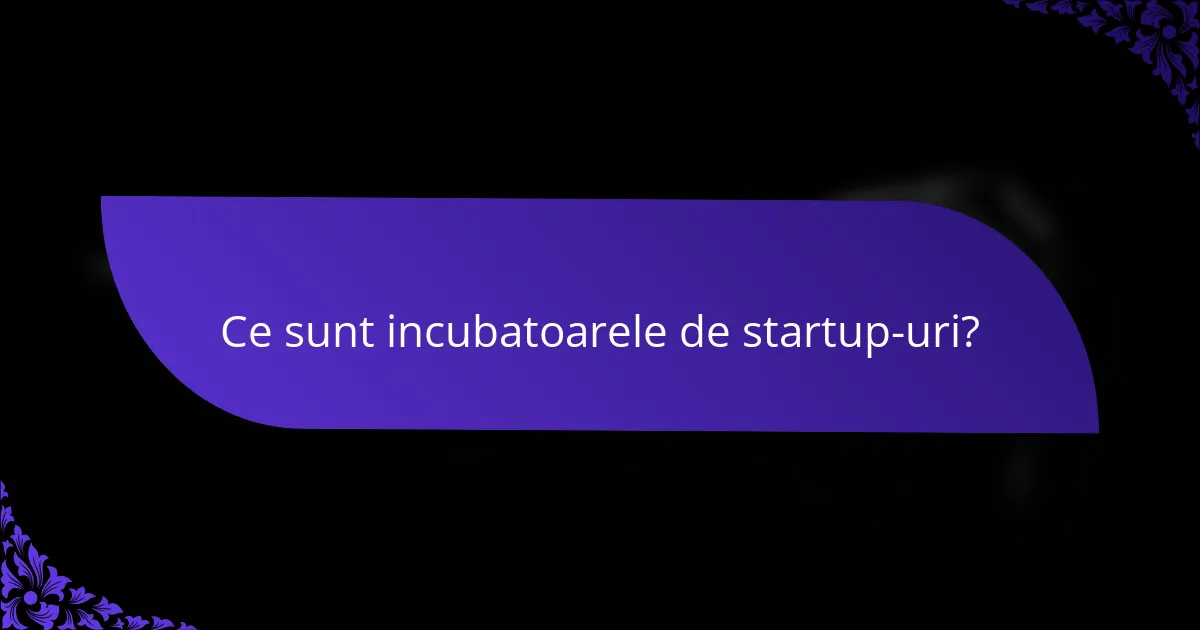 Ce sunt incubatoarele de startup-uri?