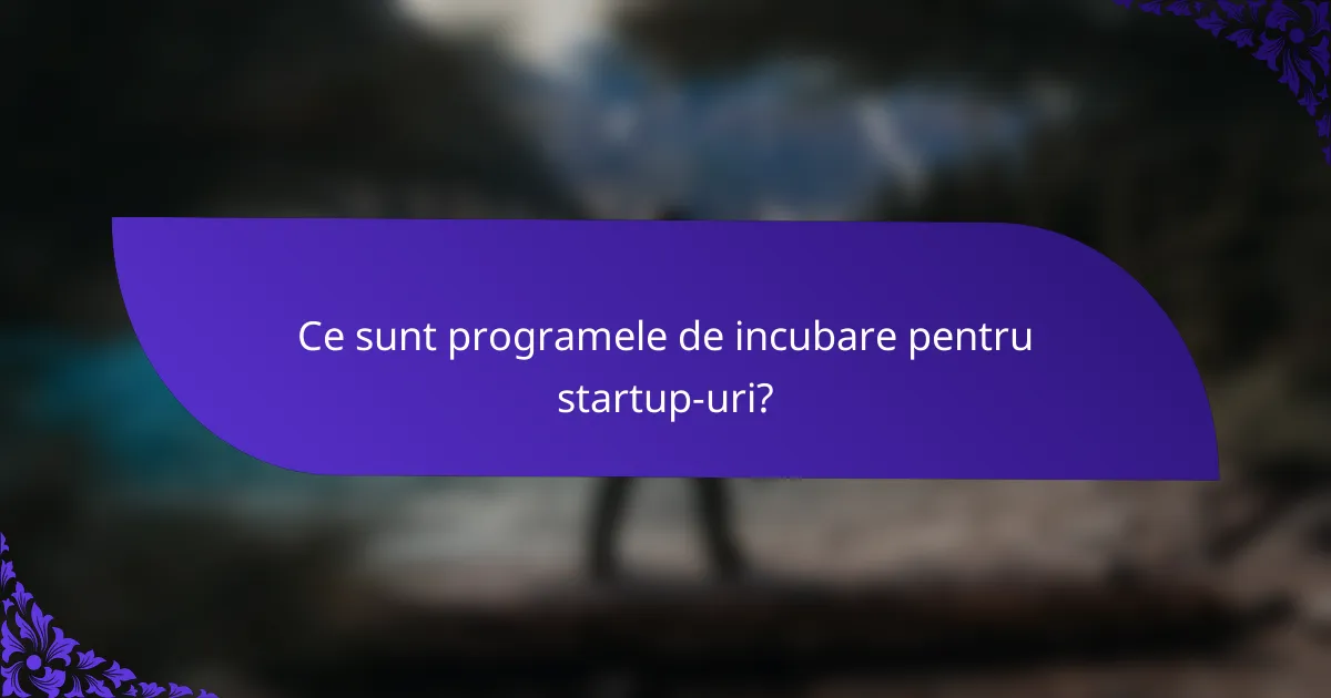Ce sunt programele de incubare pentru startup-uri?