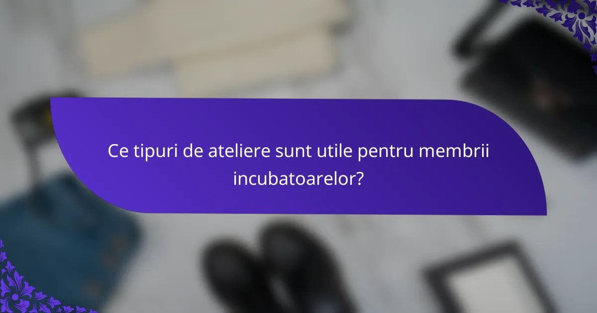 Ce tipuri de ateliere sunt utile pentru membrii incubatoarelor?