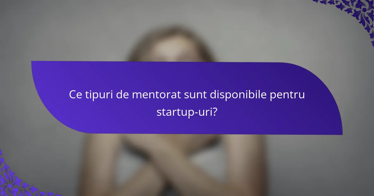 Ce tipuri de mentorat sunt disponibile pentru startup-uri?