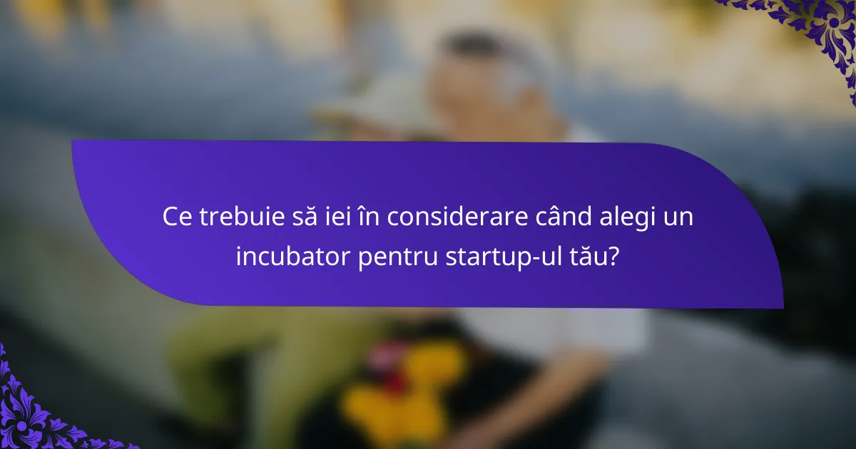Ce trebuie să iei în considerare când alegi un incubator pentru startup-ul tău?