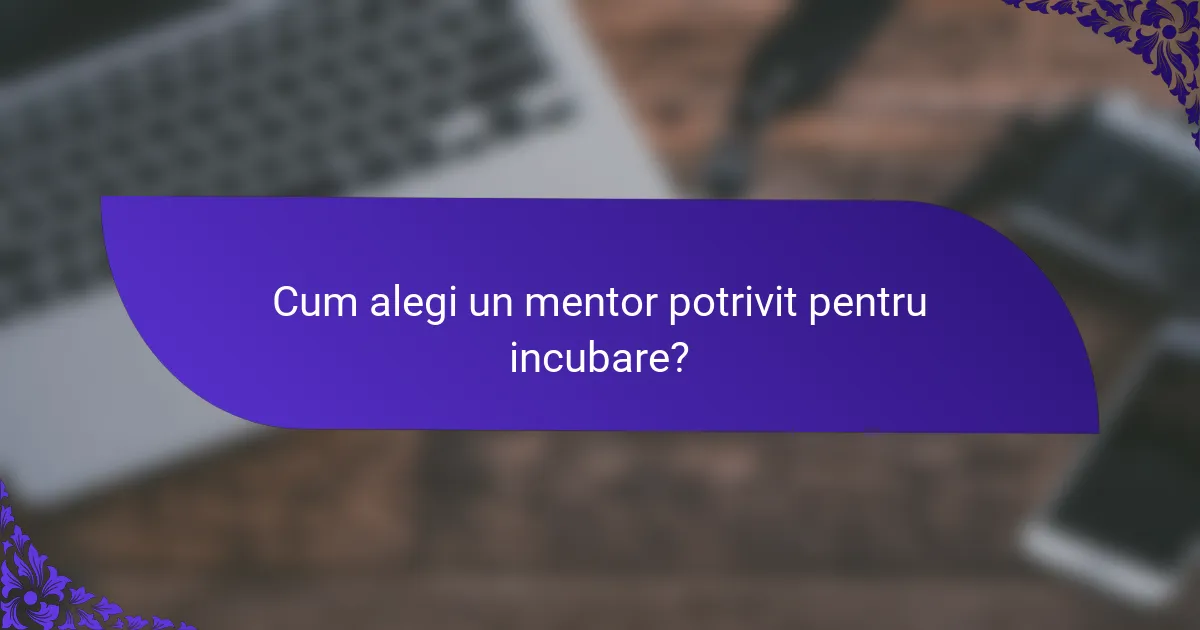 Cum alegi un mentor potrivit pentru incubare?