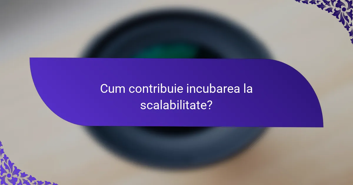 Cum contribuie incubarea la scalabilitate?