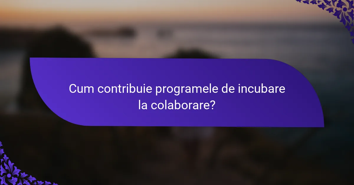Cum contribuie programele de incubare la colaborare?