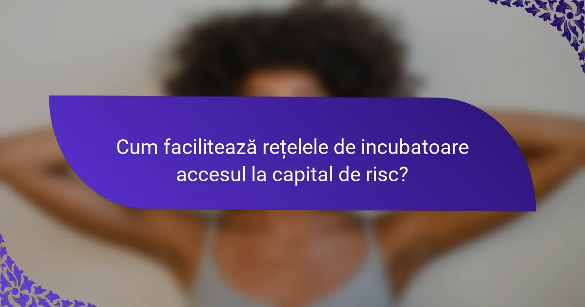 Cum facilitează rețelele de incubatoare accesul la capital de risc?