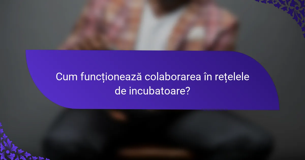 Cum funcționează colaborarea în rețelele de incubatoare?