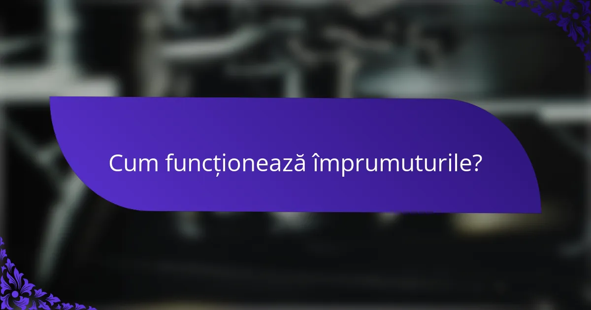 Cum funcționează împrumuturile?
