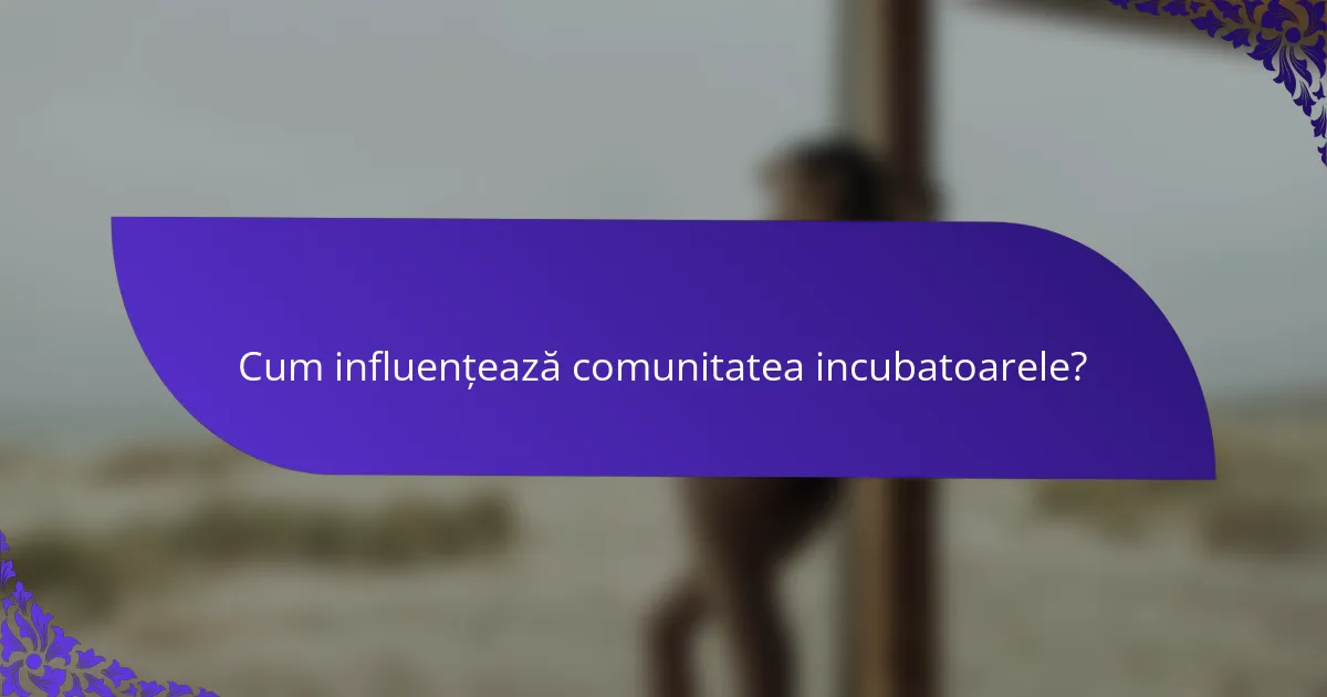 Cum influențează comunitatea incubatoarele?
