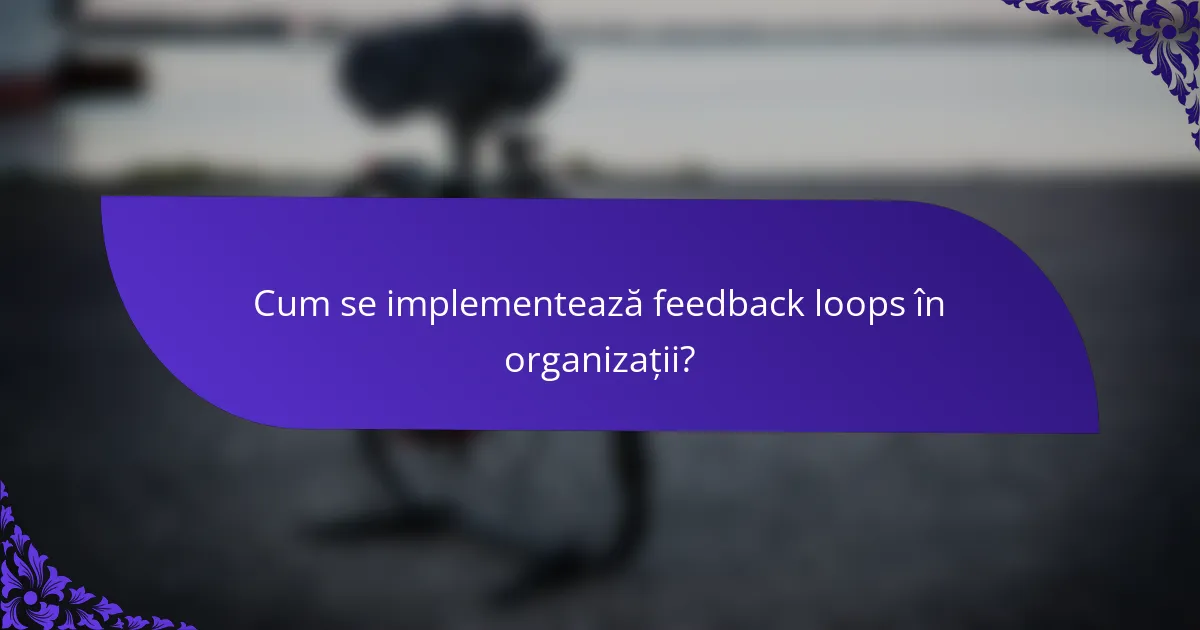 Cum se implementează feedback loops în organizații?