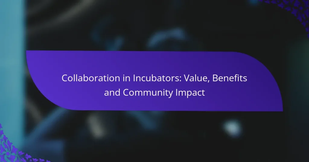 Colaborare în Incubatoare: Valoare, Beneficii și Impactul Comunității