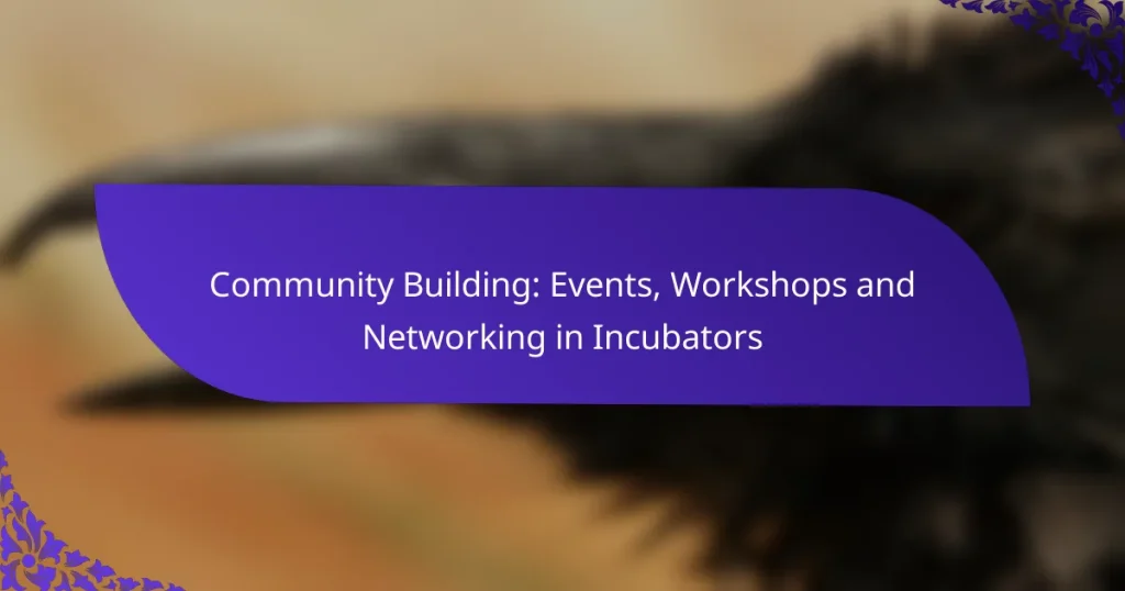 Dezvoltarea comunității: Evenimente, Ateliere și Networking în Incubatoare
