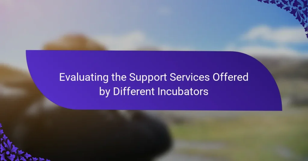 Evaluarea Serviciilor de Suport Oferite de Diferite Incubatoare