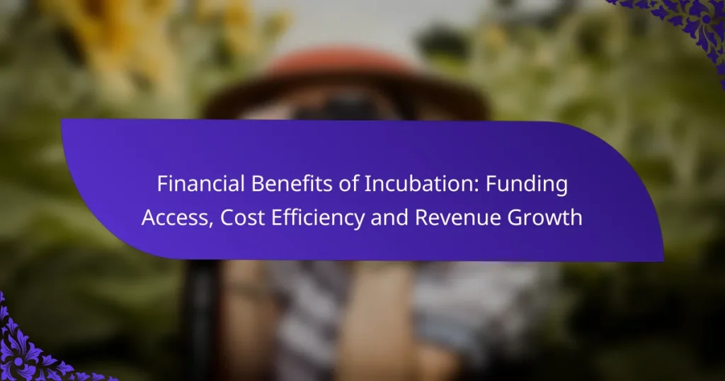 Beneficii Financiare ale Incubării: Acces la Finanțare, Eficiență a Costurilor și Creștere a Veniturilor