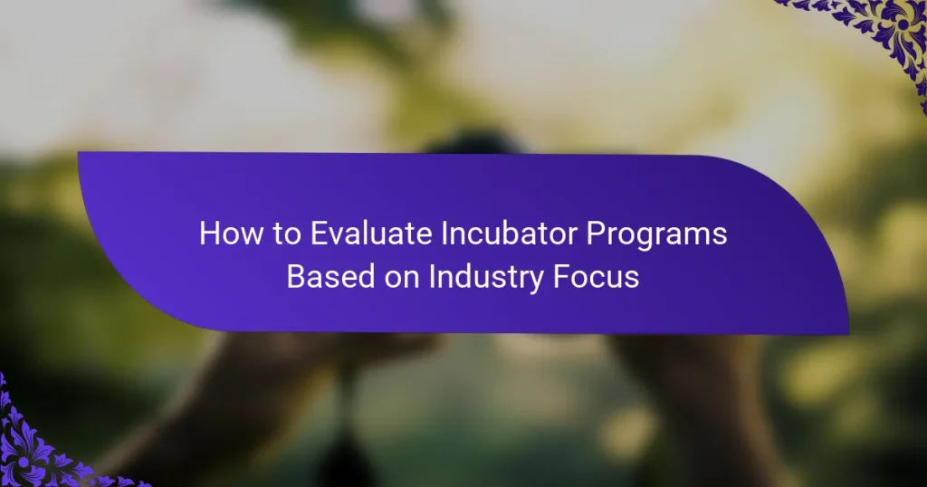 Cum să Evaluezi Programele Incubator în Funcție de Focalizarea pe Industrie