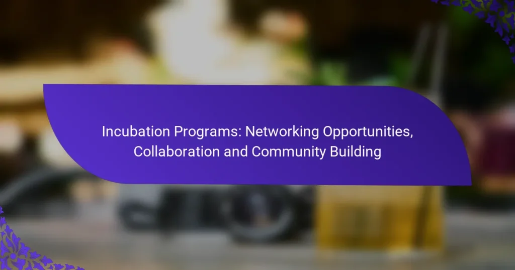 Programe de Incubație: Oportunități de Networking, Colaborare și Construirea Comunității