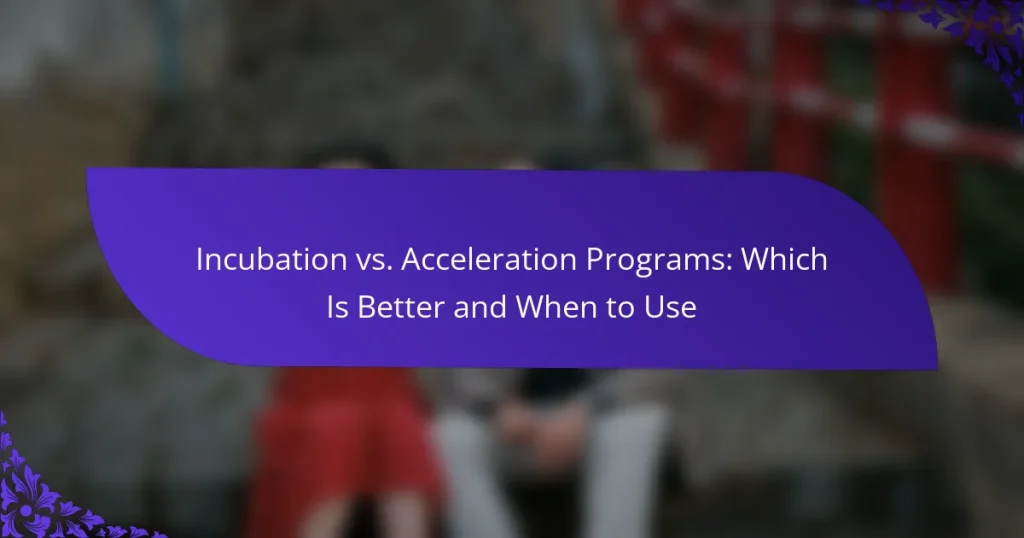 Programe de Incubare vs. Accelerare: Care Este Mai Bun și Când să Folosești