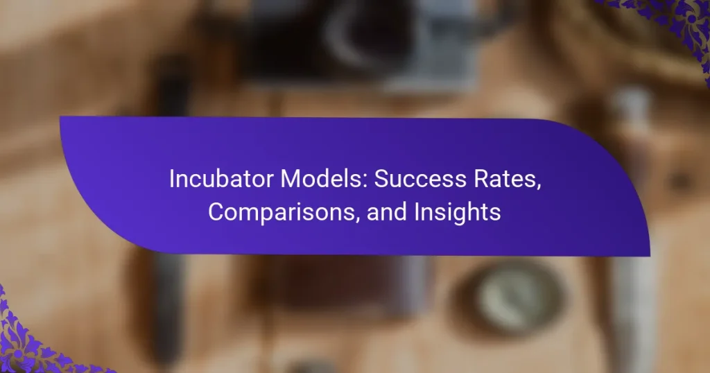 Modele de Incubatoare: Rate de Succes, Comparații și Perspective