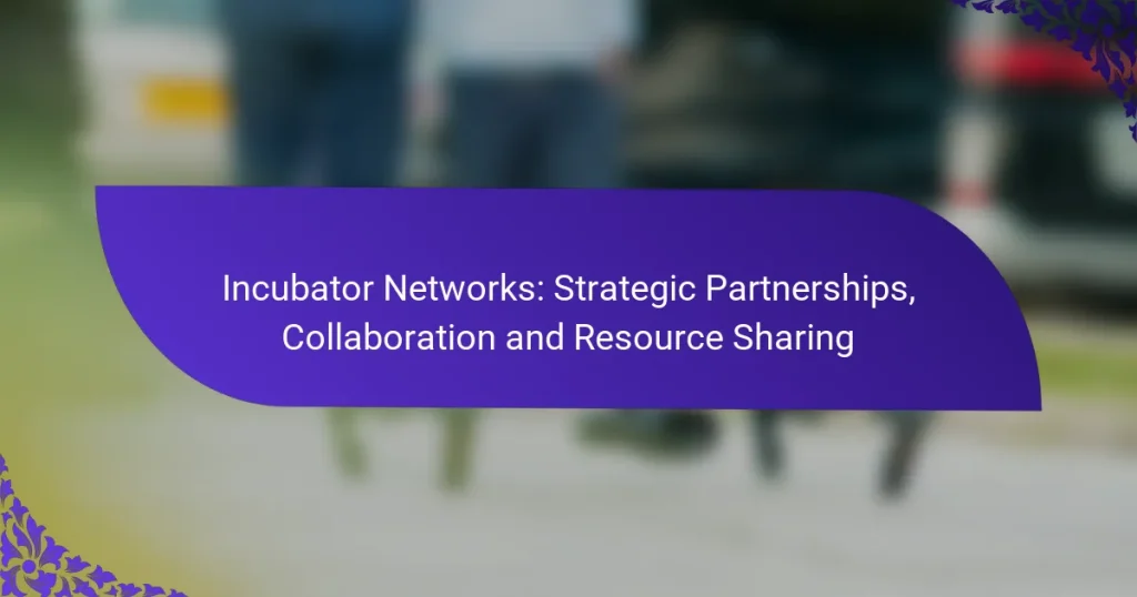 Rețele Incubator: Parteneriate Strategice, Colaborare și Partajare de Resurse
