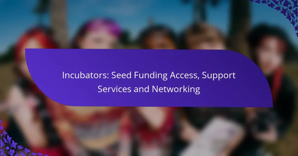 Incubatoare: Acces la Finanțare Seed, Servicii de Suport și Networking
