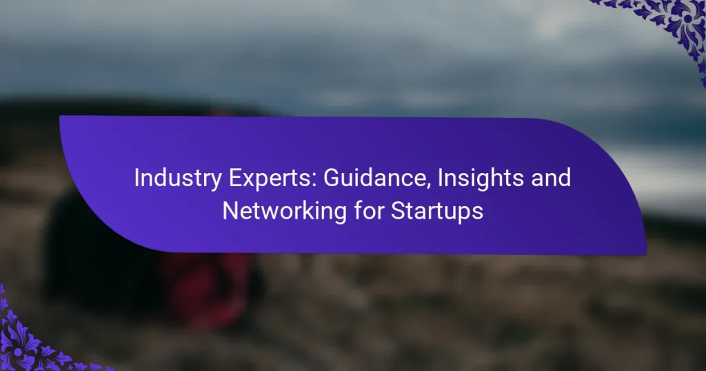 Experți din industrie: Ghidare, perspective și networking pentru startup-uri