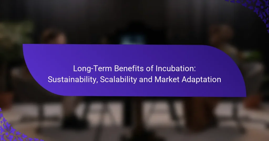 Beneficiile pe Termen Lung ale Incubării: Durabilitate, Scalabilitate și Adaptarea la Piață