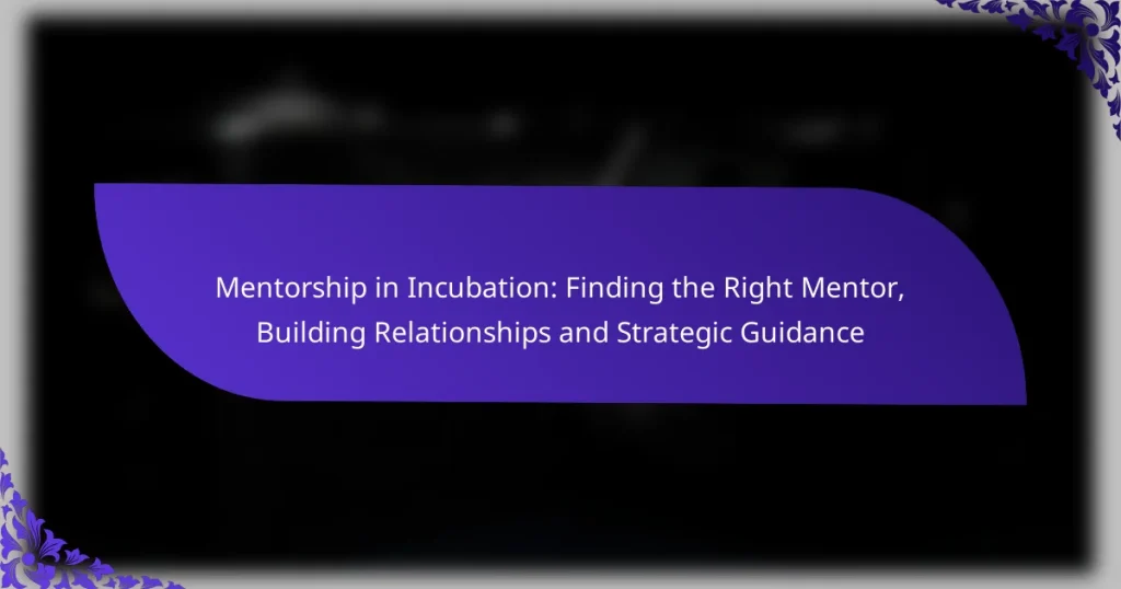 Mentorat în Incubație: Găsirea Mentorului Potrivit, Construirea Relațiilor și Ghidarea Strategică