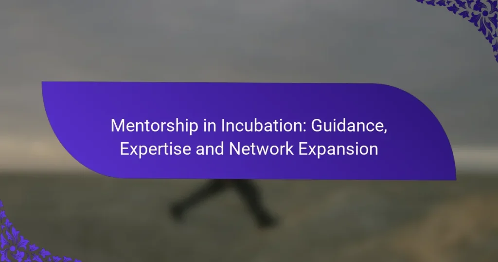 Mentorat în Incubare: Ghidare, Expertiză și Extinderea Rețelei