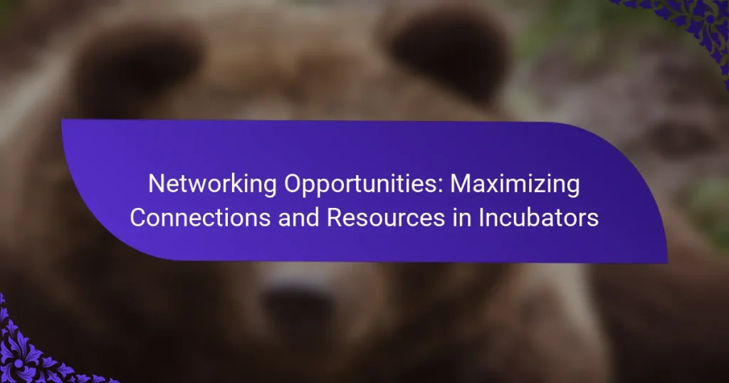 Oportunități de networking: Maximizarea conexiunilor și resurselor în incubatoare