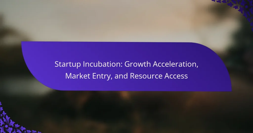 Incubare Startup: Accelerarea Creșterii, Intrarea pe Piață și Accesul la Resurse
