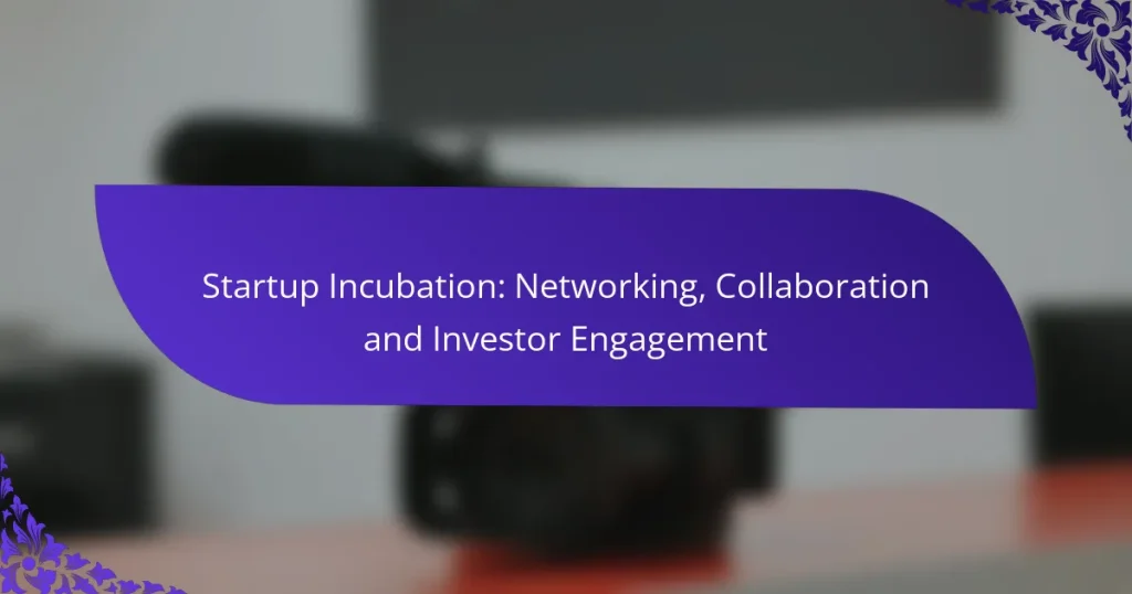Incubarea Startup-urilor: Networking, Colaborare și Implicarea Investitorilor