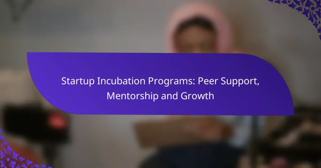 Programe de incubare pentru startup-uri: sprijin între colegi, mentorat și creștere