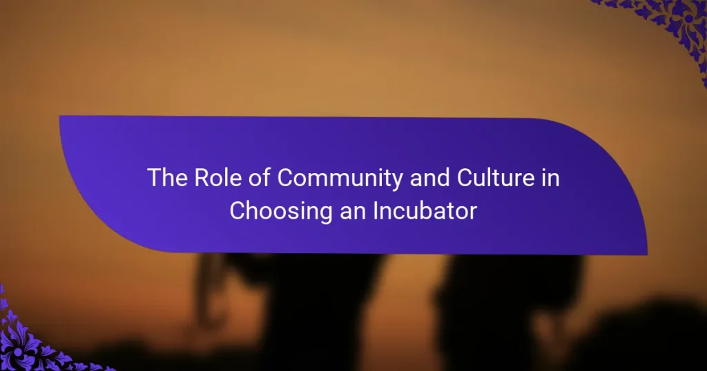 Rolul Comunității și Culturii în Alegerea unui Incubator